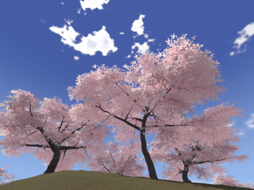 Sakura 4 Seasons