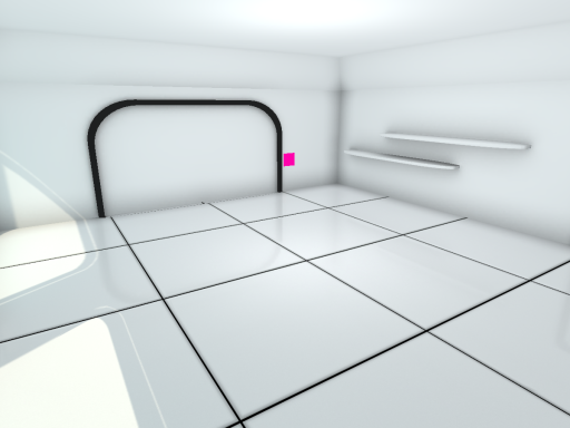 Eevee's Birthday World