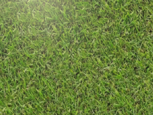 Grass Touching Simulator