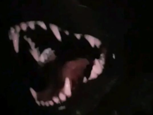 ۩ Vexz Avatar Apartment ۩