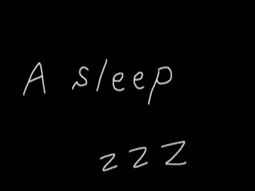 A Sleep zzz