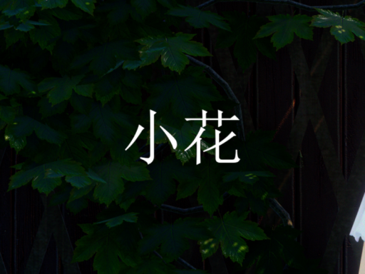 小花 - A glowing day that reflects her joy｜วันสดใสของเธอที่เบิกบาน․