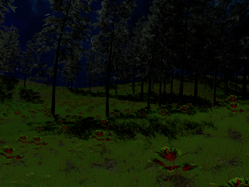 Night in the countryside