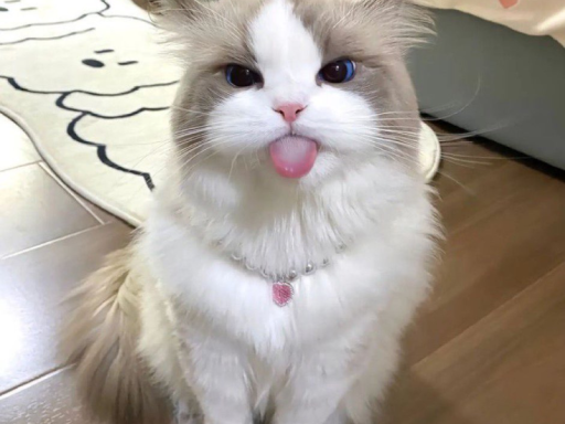 Funny Avatar World For My Friends And Some Others