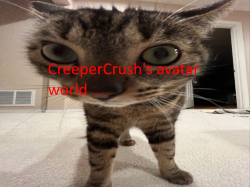 CreeperCrush's Avatar World