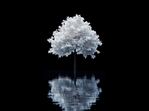 私が願っていたこと