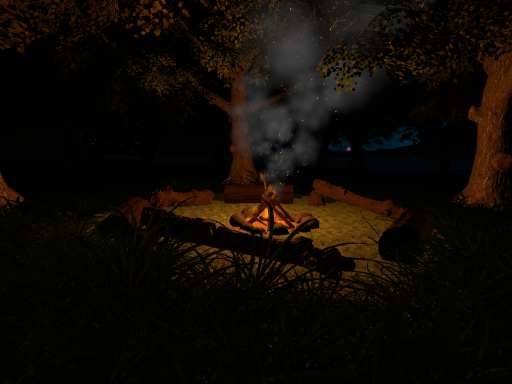 The Campfire