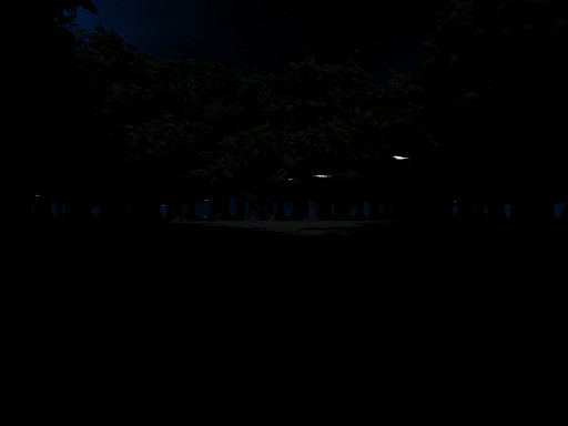 Night Forest Clearing