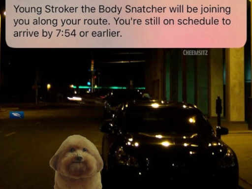 Smoked my brain away