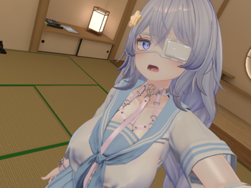 Suica's Modern House