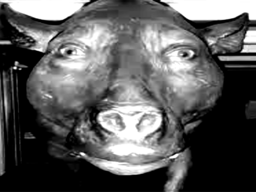 fartbongwater7's avatar world