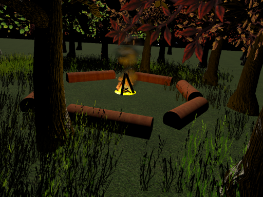 involvement in Camping