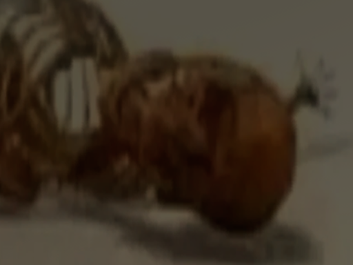 Mtrza's Avatar World