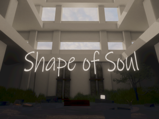 Shape of Soul