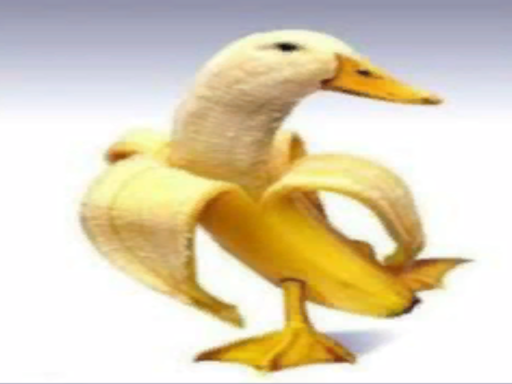 Bananaduck Meet-Up