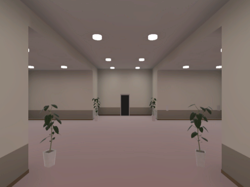 ビジネスホーム玉繭