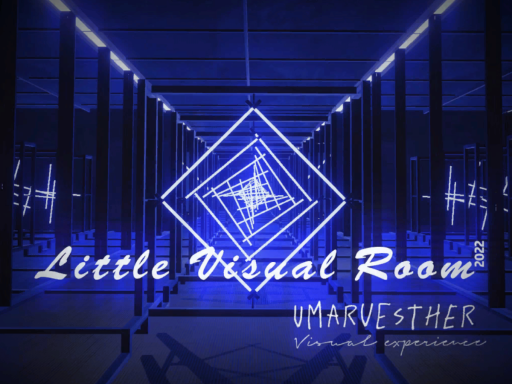 Little Visual Room