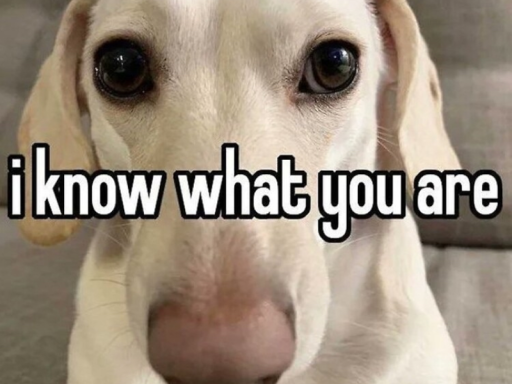 Ghost74u's avatar world