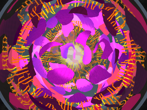 City of the False Star