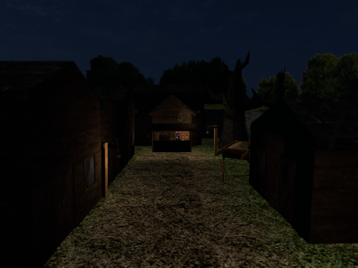 Potion's Street Night