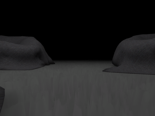 Did you hear something?