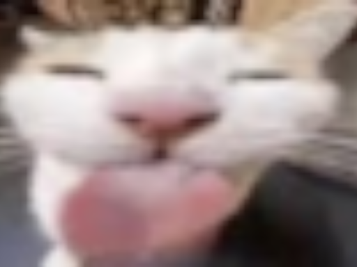 echoify's halloween party