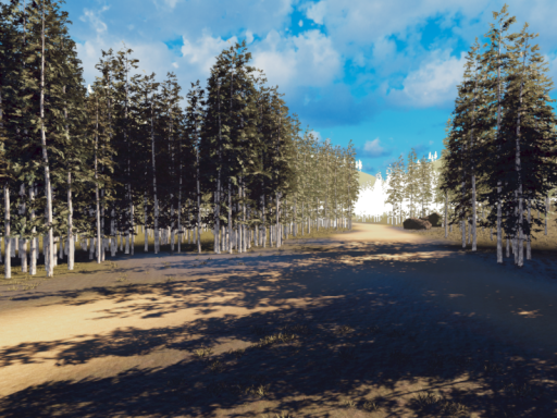 derp's second Morning Grove