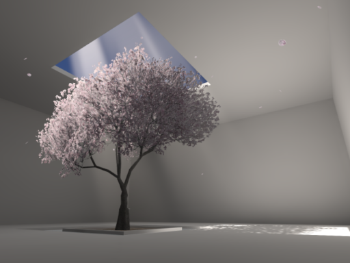 「誰のための花」 A Flower for No One