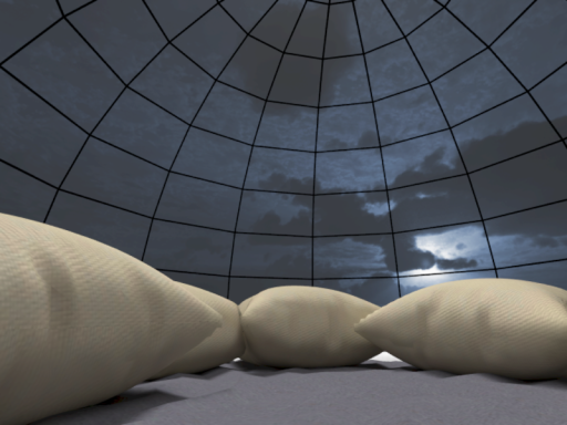 くらげのひみつきち