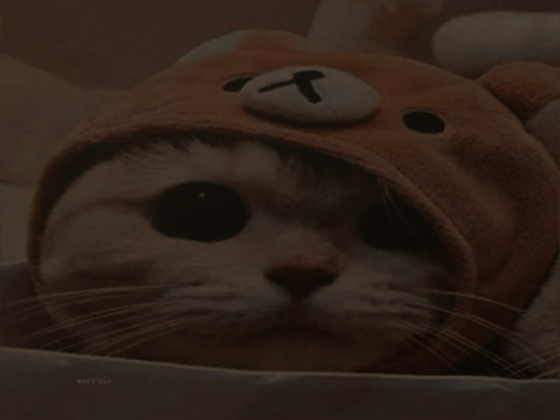 ζั͡ ตRintanღ琦琦༈のお豪宅