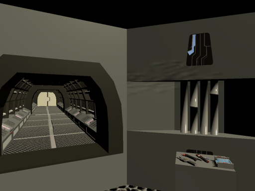 Star Trek Starship Jefferies Tube