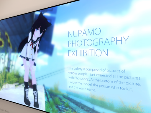 Photography Exhibition