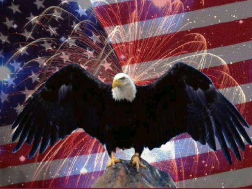 4th of July BBQǃǃǃǃ1ǃ1ǃ