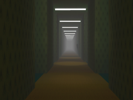 The Hallway