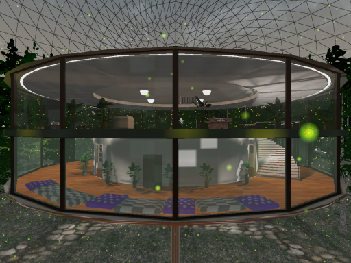 Lucid Dreaming Above the Trees