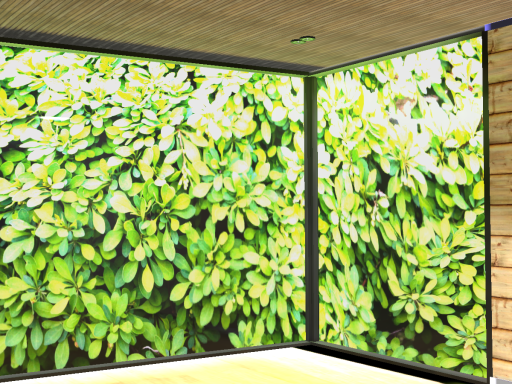 Luny's and Juniorr's Birthday