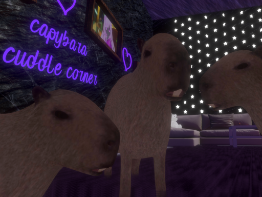 Capybara Cuddle Corner