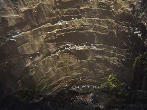 Star Wars Utapau Avatar World