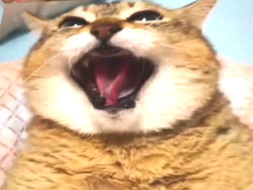 Optimized Box of Vro