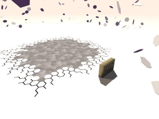 Hidden Forbidden Twilight