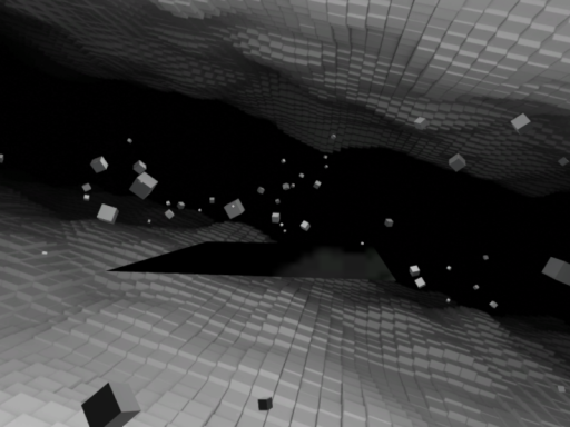 ユーカリ・グニにいざなわれて