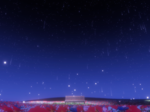 星降る夜に On a Starry Night