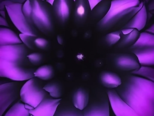 Shadow Of The Void （updated）