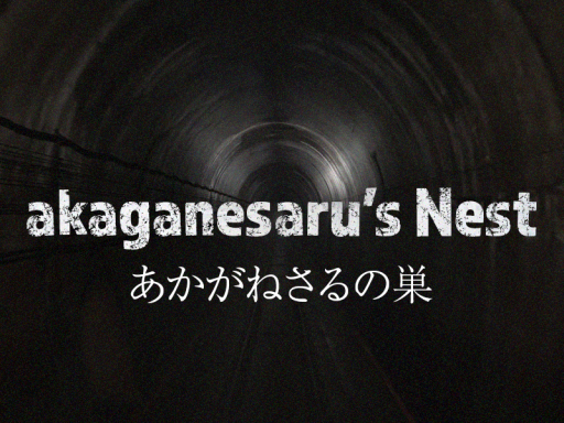 akaganesaru's Nest