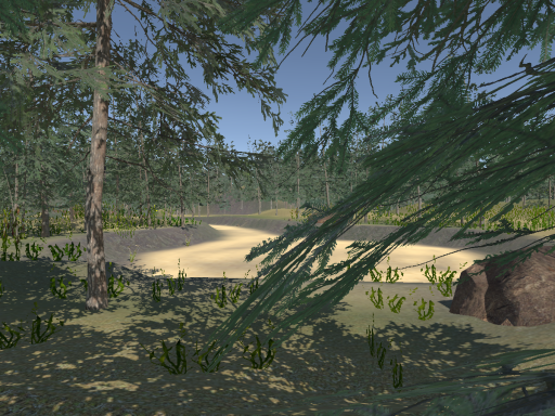 Au Forrest for Jaycey