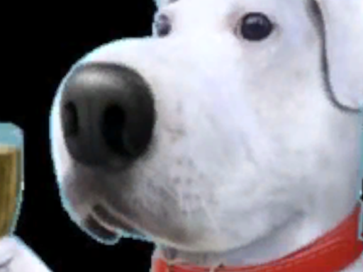 Cookie's NEW avatar world