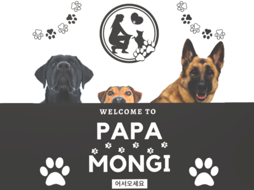 Papa Mongi Dog Cafe ｜ 파파멍이 강아지 카페