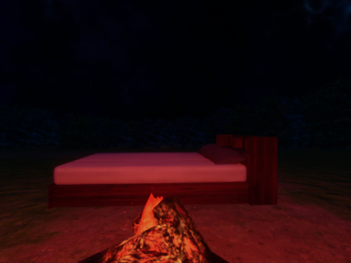 bonfire_sleep