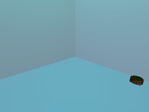 Bardi's Avatar World