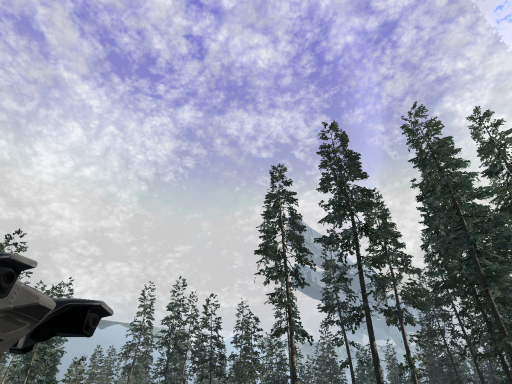 Zeta Halo - Pelican Crash Site